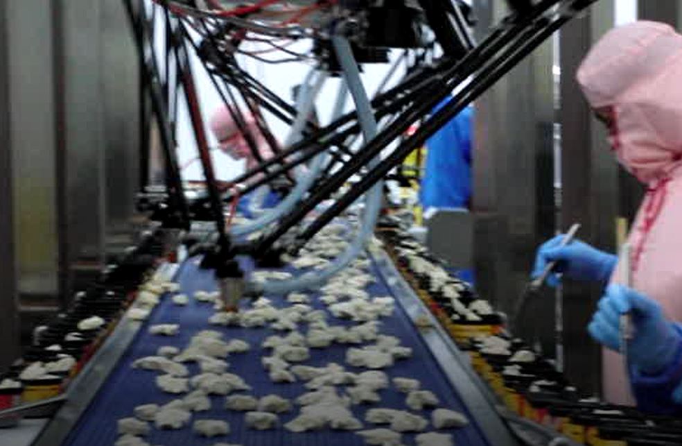 饺子食品机器人视觉分拣装盒